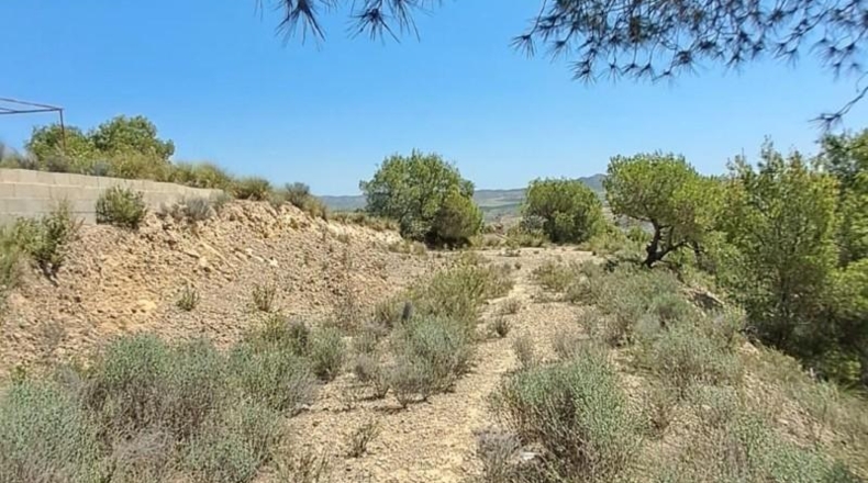 Мурсия - Murcia - 2200m2
