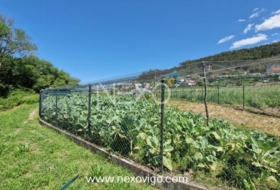 Cangas 958&nbsp;м²