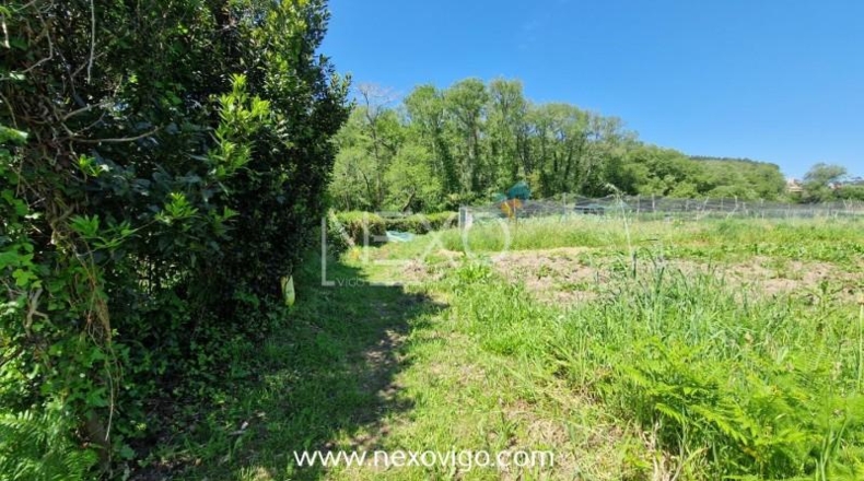 Pontevedra - Cangas - 958m2