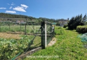 Terreny no urbanitzable en venda a la España, Cangas, ref.: TR237570 foto
