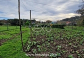 Terreny no urbanitzable en venda a la España, Cangas, ref.: TR237570 foto