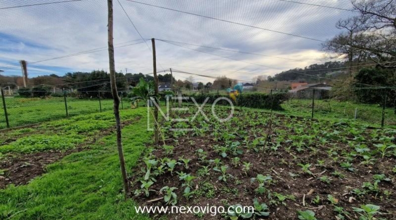 Pontevedra - Cangas - 958m2