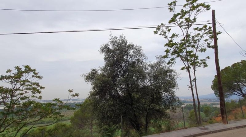 Barcelona - Abrera - 402m2