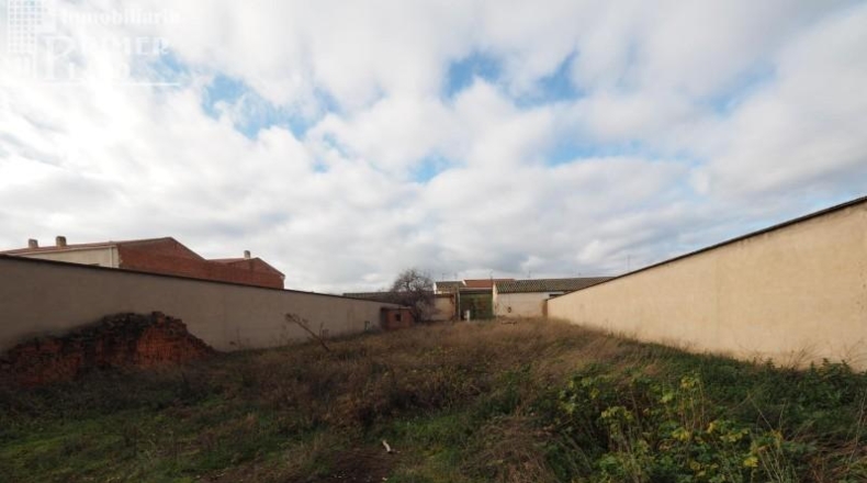 Ciudad Real - Calzada de Calatrava - 1072m2