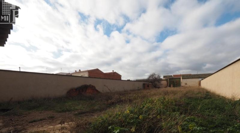 Ciudad Real - Calzada de Calatrava - 1072m2