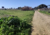 Terreny no urbanitzable en venda a la España, Sanlúcar de Barrameda, ref.: TR219771 foto