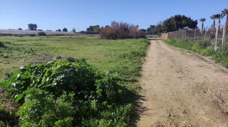 Cádiz - Sanlúcar de Barrameda - 2500m2