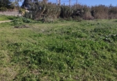 Terreny no urbanitzable en venda a la España, Sanlúcar de Barrameda, ref.: TR219771 foto