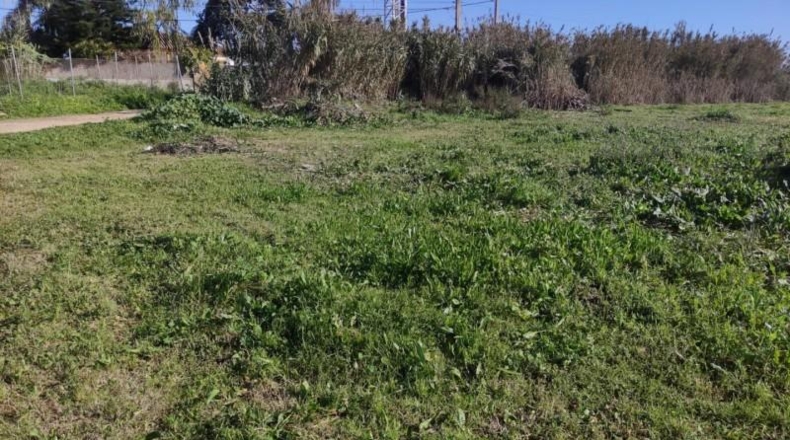 Cádiz - Sanlúcar de Barrameda - 2500m2