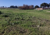 Terreny no urbanitzable en venda a la España, Sanlúcar de Barrameda, ref.: TR219771 foto