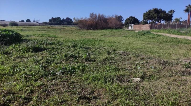 Cádiz - Sanlúcar de Barrameda - 2500m2