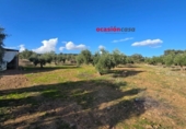 Non-developable land for sale on España, La Granjuela, ref: TR198847 photo