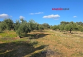 Non-developable land for sale on España, La Granjuela, ref: TR198847 photo