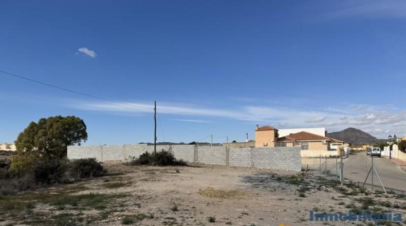 Almeria - Zurgena - 870m2