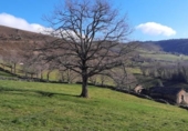 Finca rústica en venda a la España, Vega de Pas, ref.: TR291591 foto