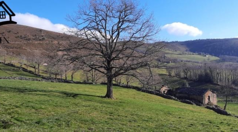 Cantabria - Vega de Pas - 12108m2