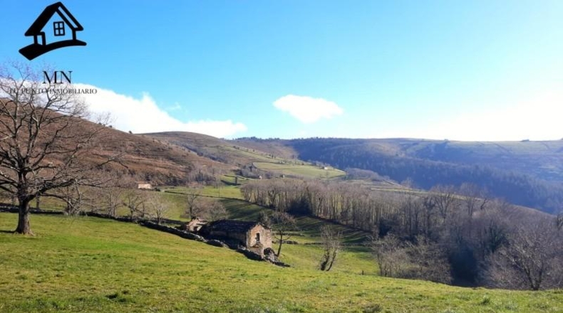 Cantabria - Vega de Pas - 12108m2