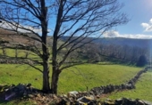 Finca rústica en venda a la España, Vega de Pas, ref.: TR291591 foto