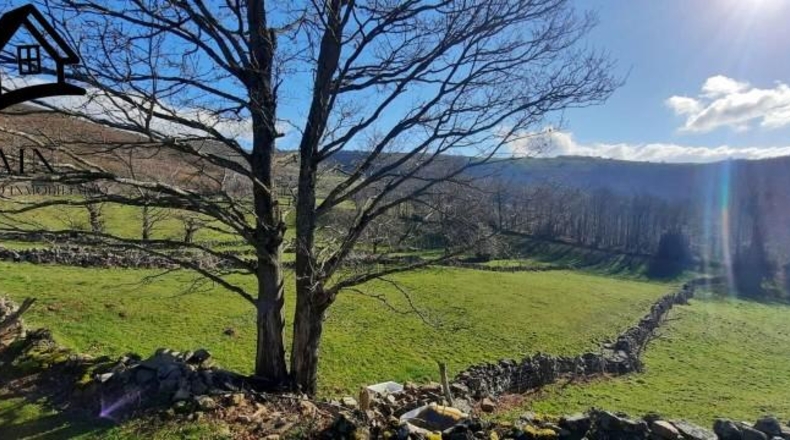 Cantabria - Vega de Pas - 12108m2