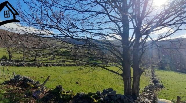 Cantabria - Vega de Pas - 12108m2