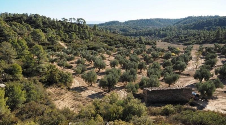 Teruel - Calaceite - 195755m2