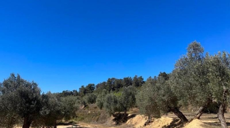 Teruel - Calaceite - 195755m2