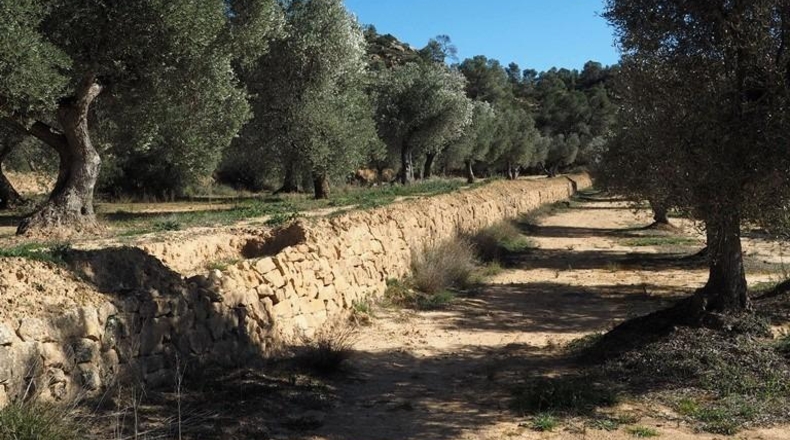 Teruel - Calaceite - 195755m2