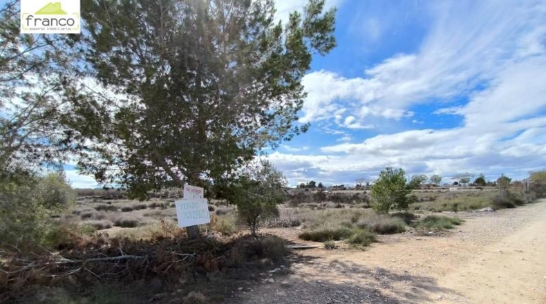 Murcia - Molina de Segura - 1800m2