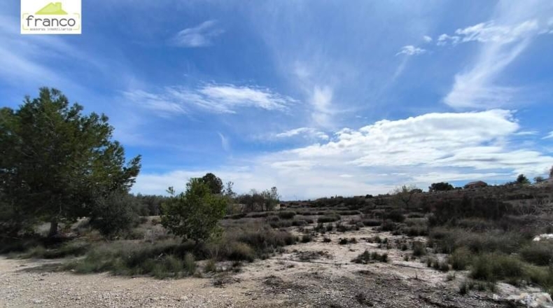 Murcia - Molina de Segura - 1800m2