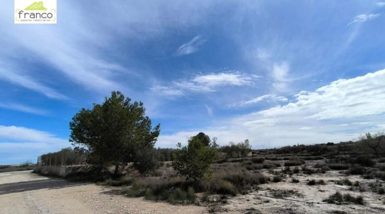 Murcia - Molina de Segura - 1800m2