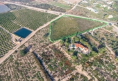 Non-developable land for sale on España, Crevillent, ref: TR370663 photo