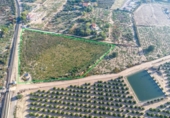 Non-developable land for sale on España, Crevillent, ref: TR370663 photo