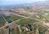 Non-developable land for sale on España, Crevillent, ref: TR370663 photo