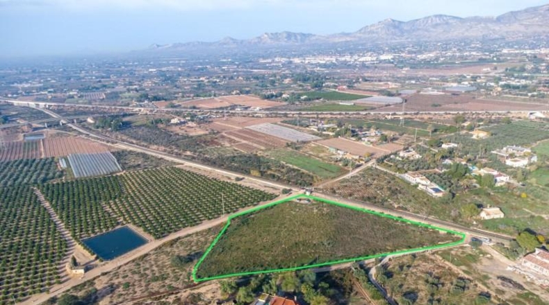 Alicante - Crevillent - 12026m2
