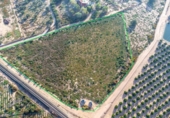 Non-developable land for sale on España, Crevillent, ref: TR370663 photo