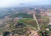 Non-developable land for sale on España, Crevillent, ref: TR370663 photo