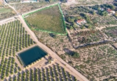 Non-developable land for sale on España, Crevillent, ref: TR370663 photo