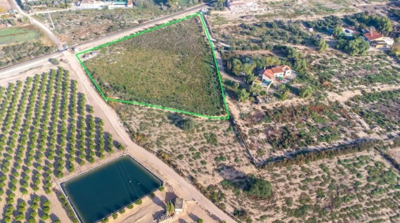 Alicante - Crevillent - 12026m2