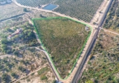 Non-developable land for sale on España, Crevillent, ref: TR370663 photo