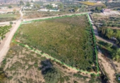 Non-developable land for sale on España, Crevillent, ref: TR370663 photo