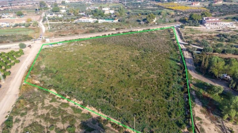 Alicante - Crevillent - 12026m2