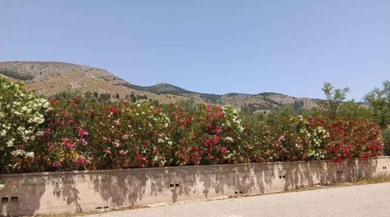 Alicante - Onil - 8700m2