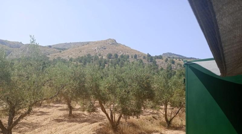 Alicante - Onil - 8700m2