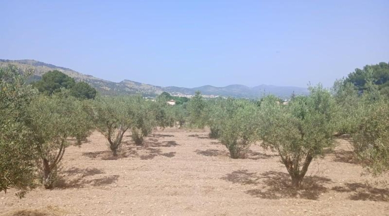 Alicante - Onil - 8700m2