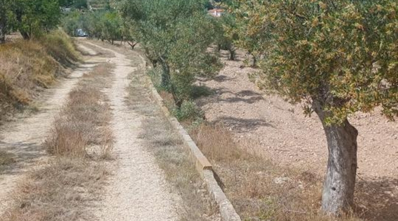 Alicante - Onil - 8700m2