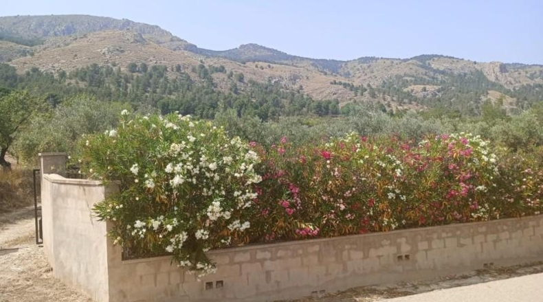 Alicante - Onil - 8700m2