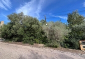 Urban land for sale on España, Alginet, ref: TR374827 photo