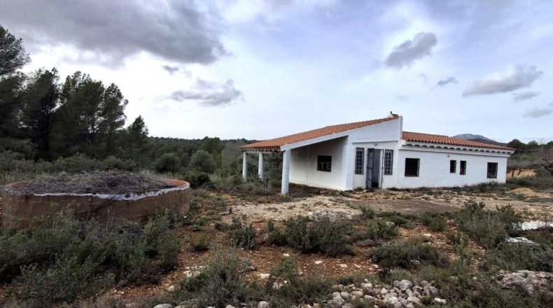 Castellón - Benlloch - 3727m2