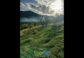 Land suitable for development for sale on España, Almuñécar, ref: TR378071 photo