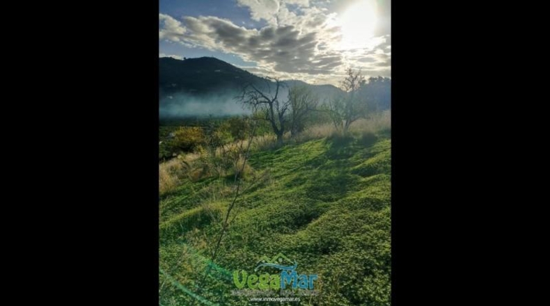 Granada - Almuñécar - 3000m2